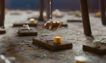 MISSION: MÄUSEJAGD - CHAOS UNTERM WEIHNACHTSBAUM