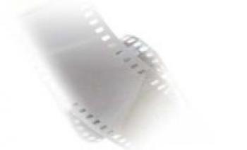 DIE SCHATZSUCHE IM BLAUMEISENTAL