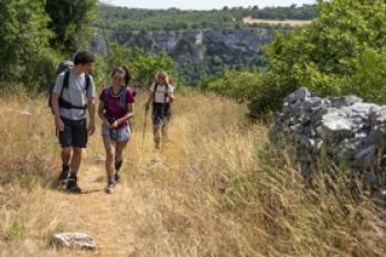 DIE CAMINO-THERAPIE - FINDE DEINEN WEG